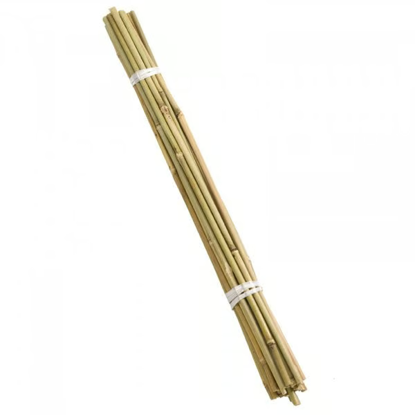 122cm Bamboo Canes
