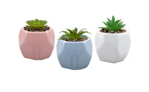Ceramic Pot with Succelent