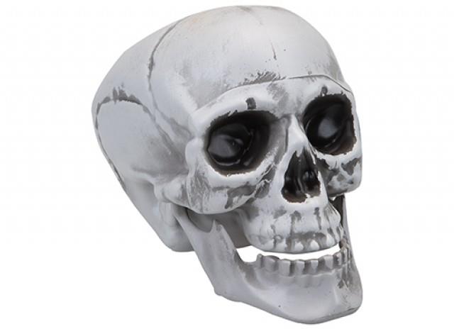 Large Skull Moving Jaw