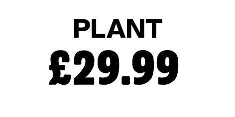 Plant £29.99