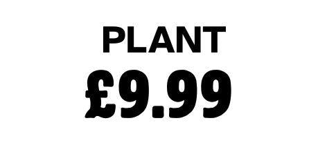 Plant 9.99
