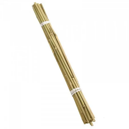 183cm Bamboo Canes Pk10