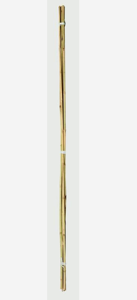 3ft Pack of 20 Garden Bamboo Canes