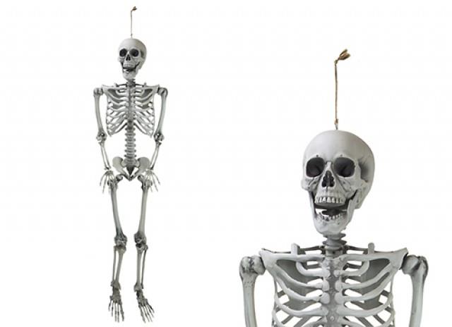 Large Hanging Skeleton
