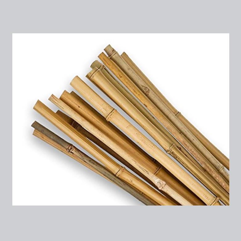 6ft Bamboo Canes pack of 10