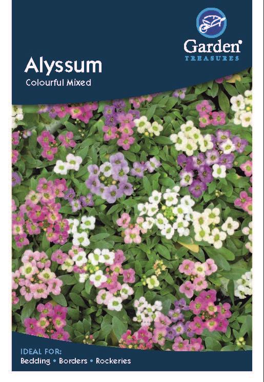 Alyssum Colourful Mixed
