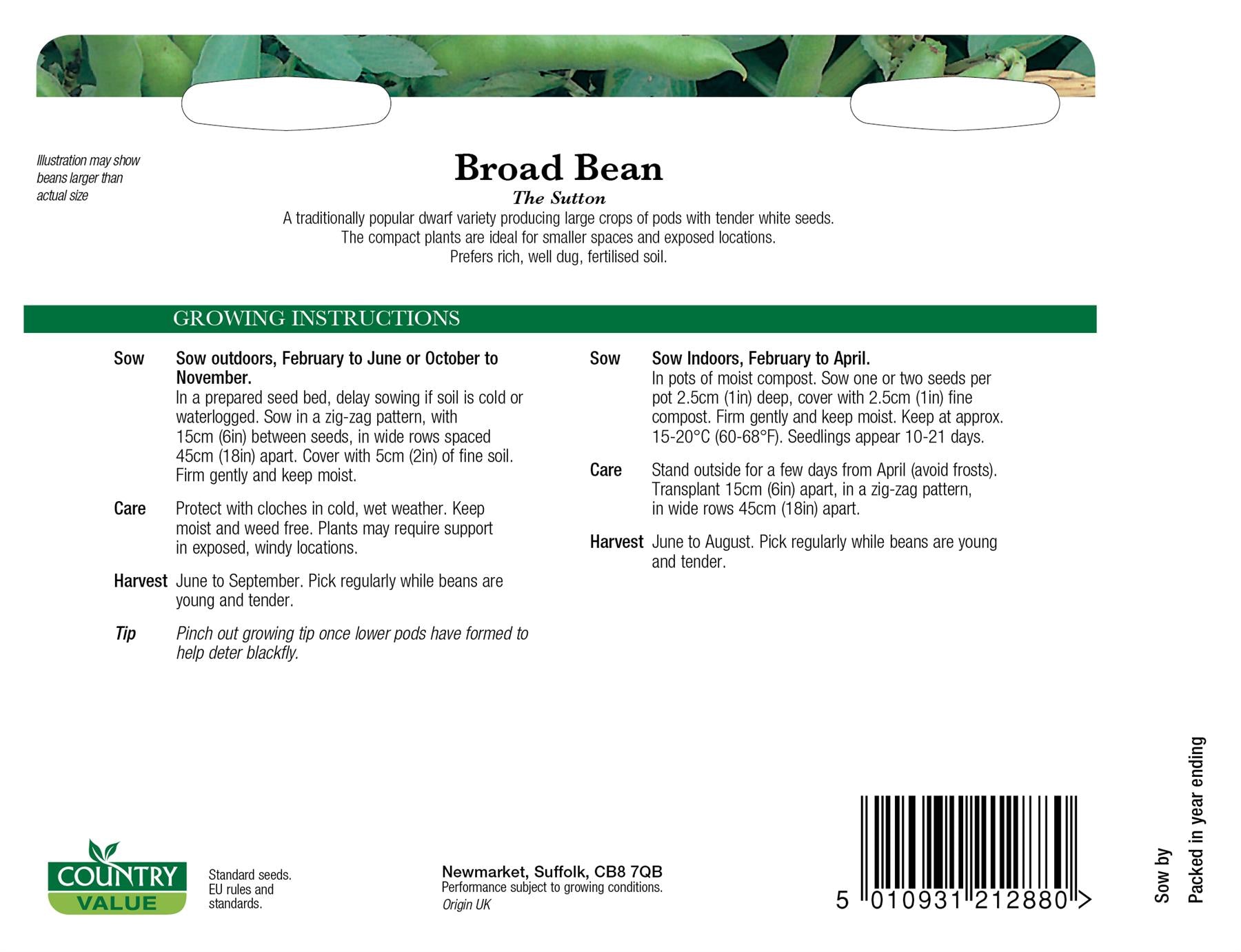 CV - Broad Bean The Sutton
