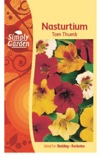 Nasturtium Tom Thumb