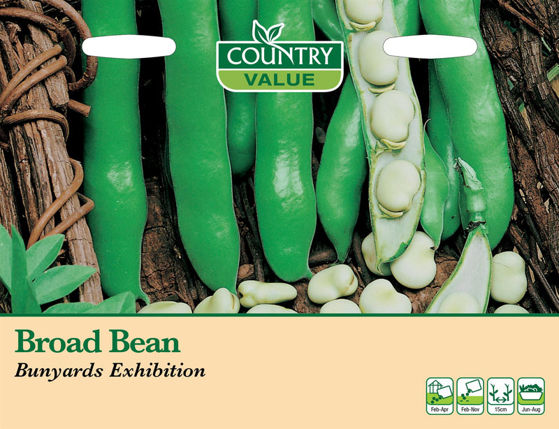 CV - Broad Bean Bunyards Exhibition