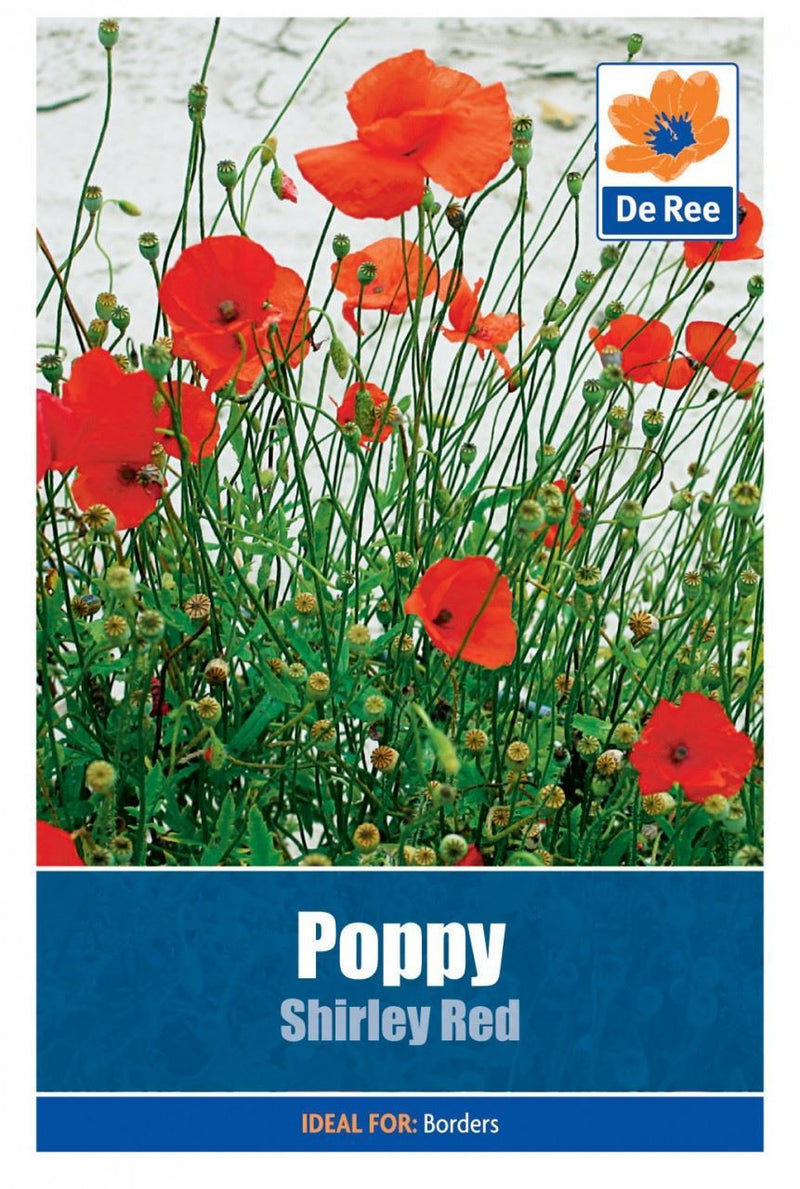 2 PACKS of POPPY Shirley Red FLOWER Garden SEEDS