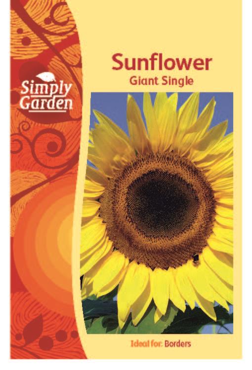 Sunflower Giant Single