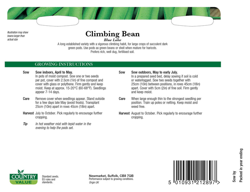 CV - Climbing Bean Blue Lake