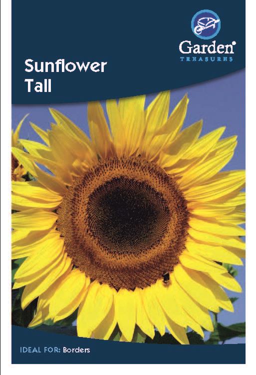 Sunflower Tall