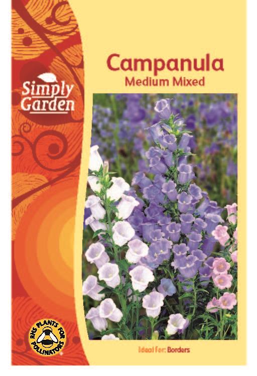 SG - Campanula Medium Mixed