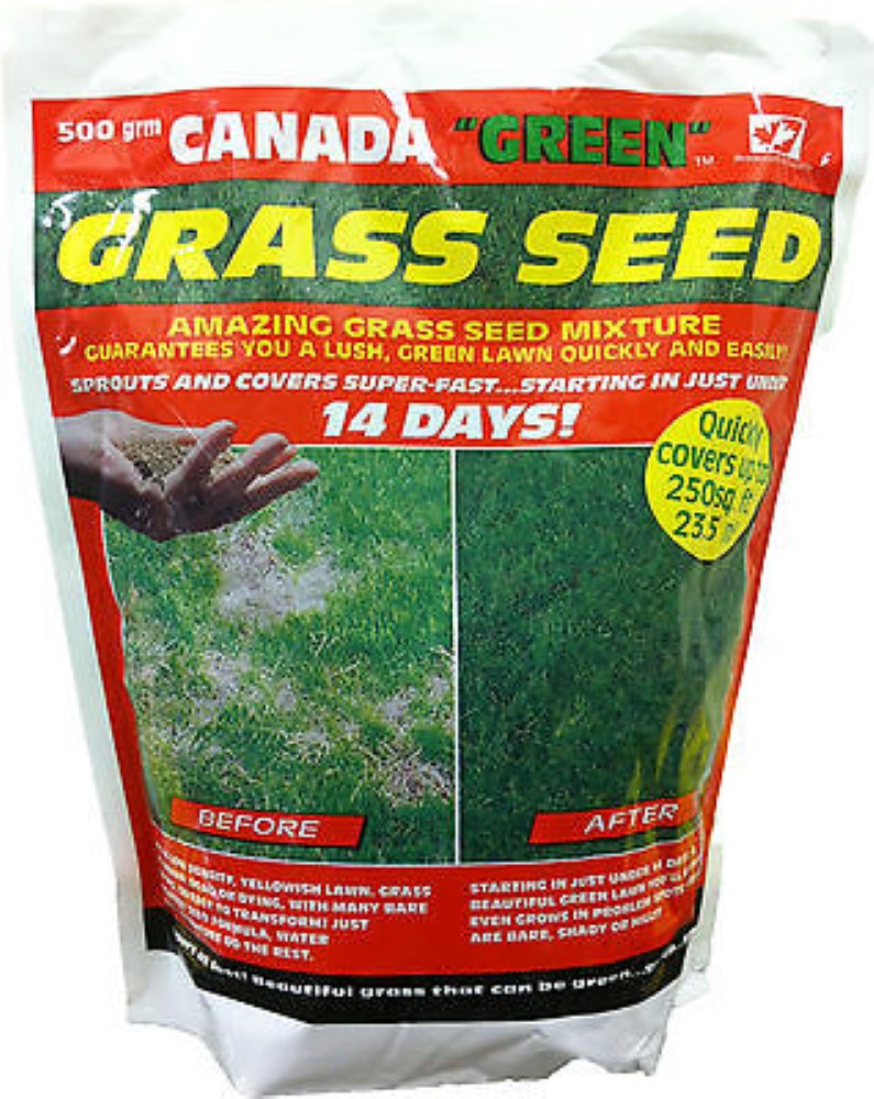 500g Canada Green Grass Seed