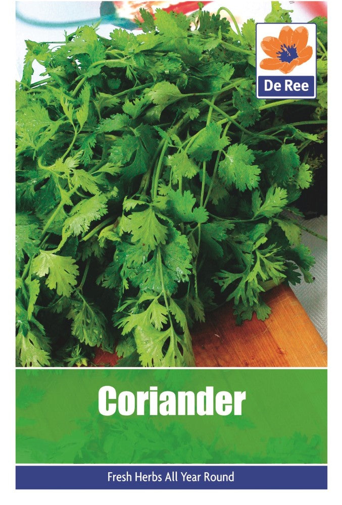 Coriander Seeds