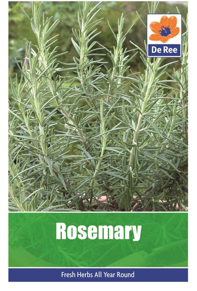Rosemary Seeds