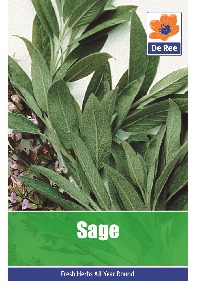 Sage Seeds