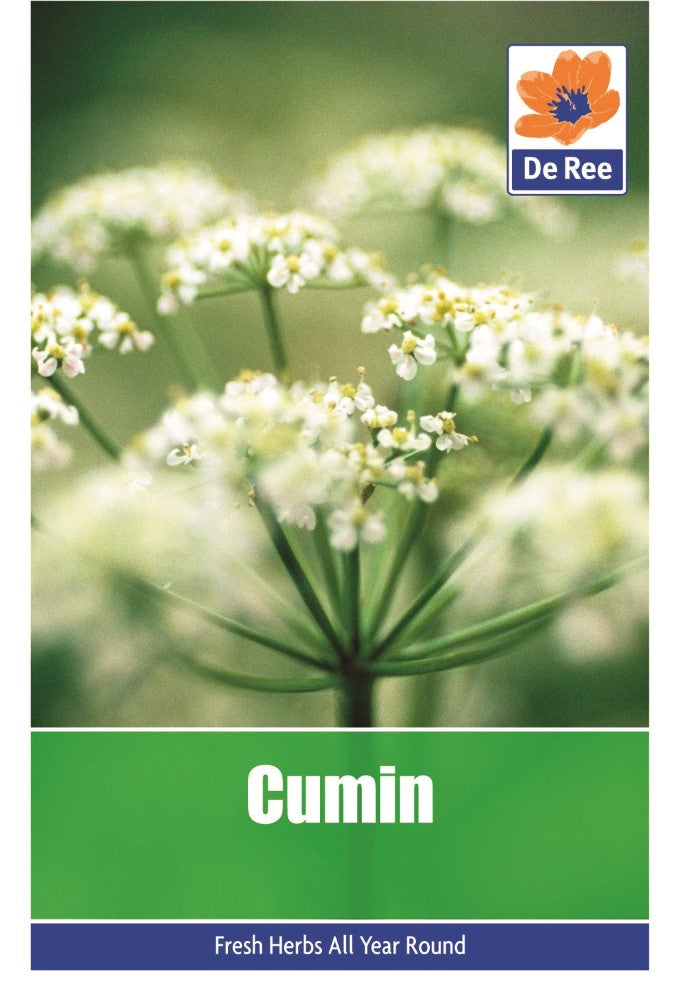 Cumin Seeds