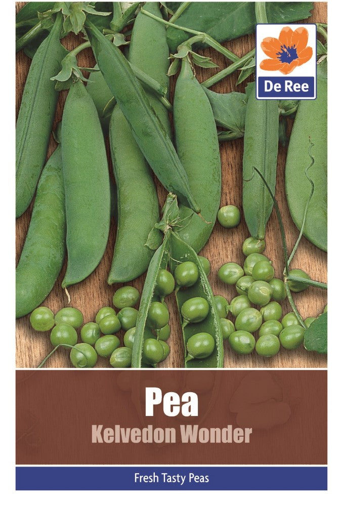 Pea: Kelvedon Wonder Seeds