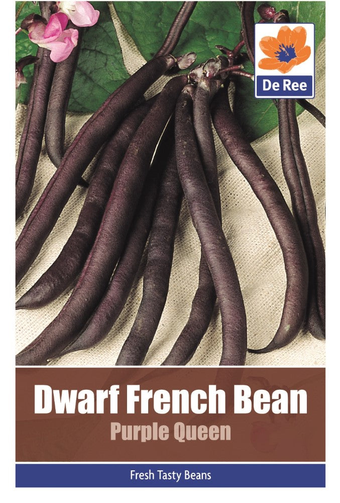 Dwarf French Beans: Purple Queen Seeds
