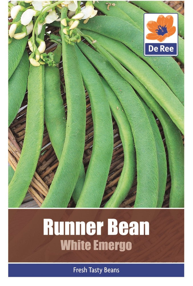 Runner Bean: White Emergo Seeds