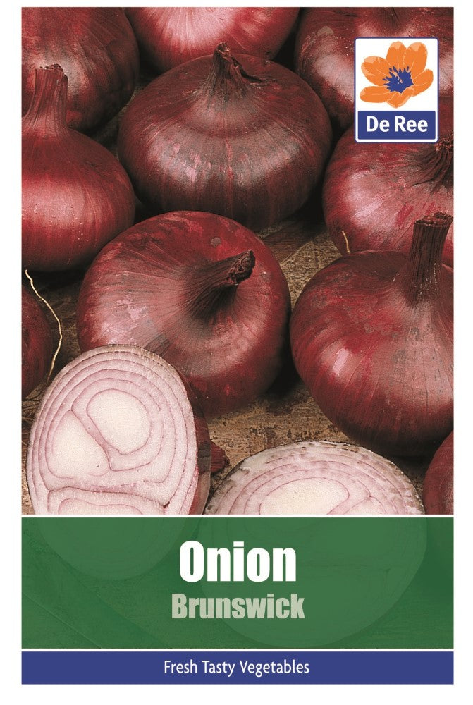 Onion: Brunswick Seeds