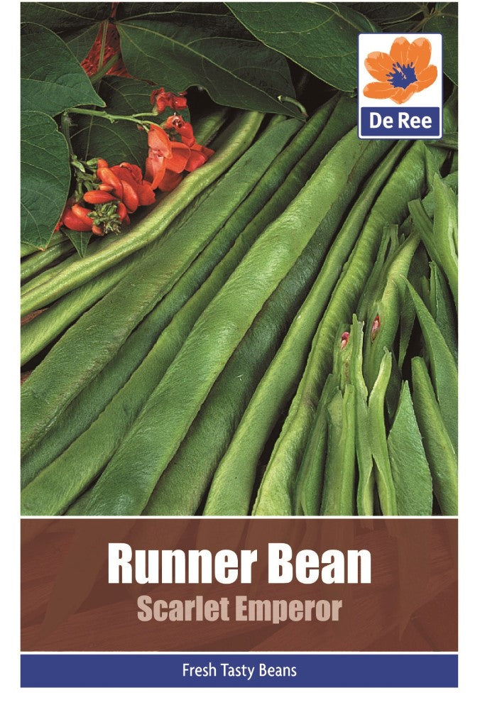 Runner Bean: Scarlet Emperor Seeds