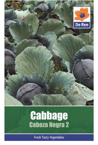 Cabbage: Cabeza Negra Seeds