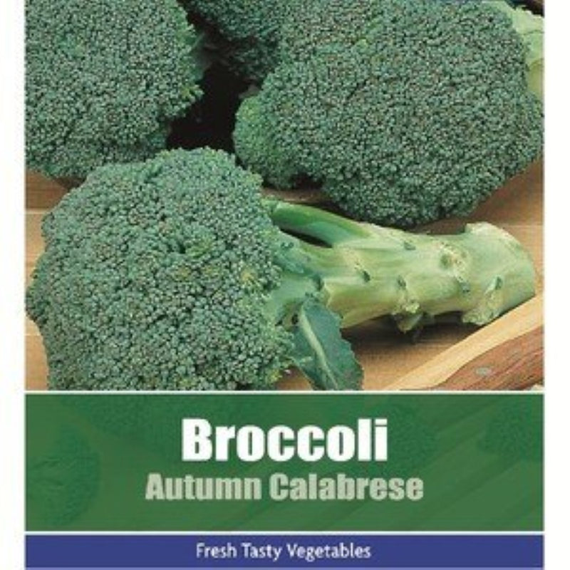 Broccoli: Autumn Calabrese Seeds