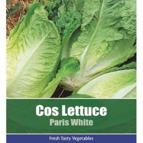 Cos Lettuce: Paris White Seeds