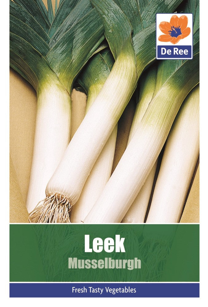 Leek: Musselburgh Seeds