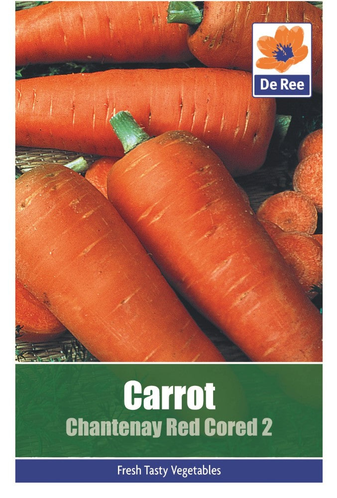 Carrot: Chantenay Red Cored Seeds