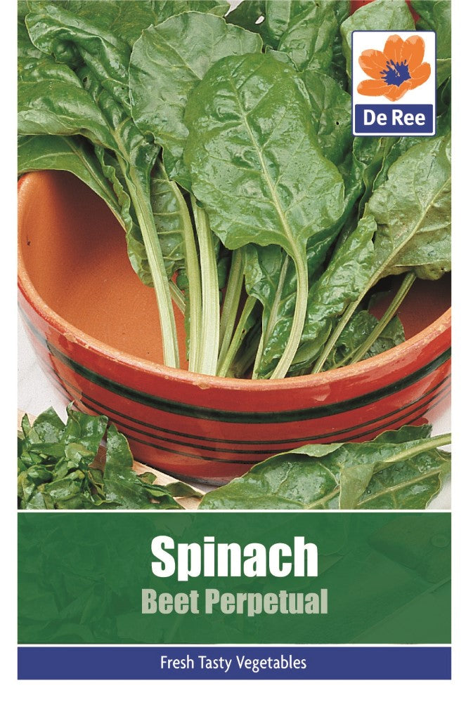 Spinach: Beet Perpetual