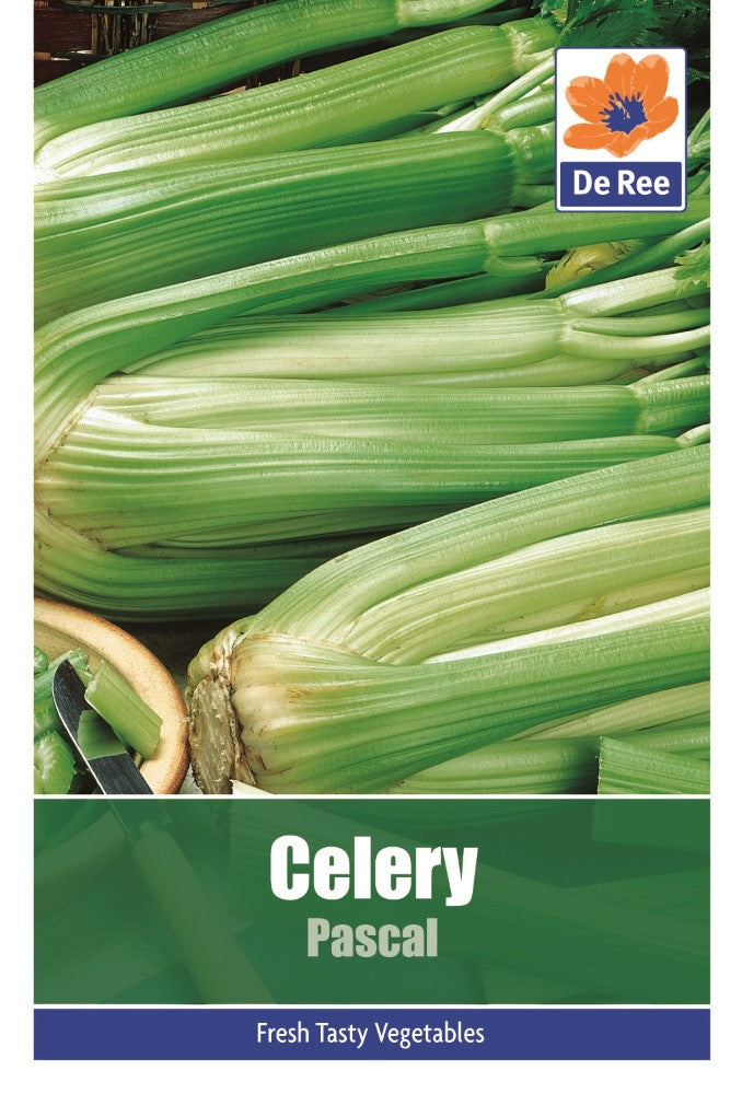 Celery: Pascal Seeds