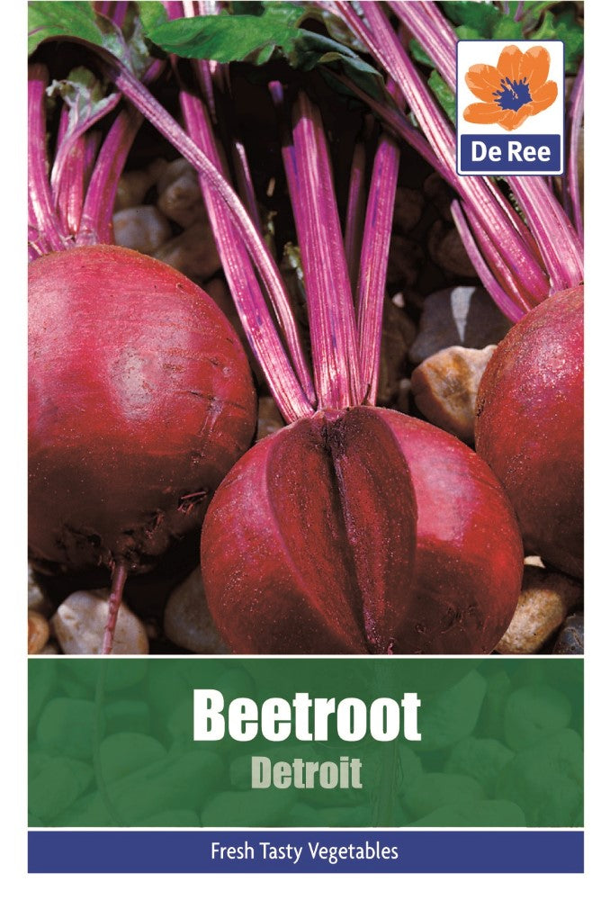 Beetroot: Detroit Seeds