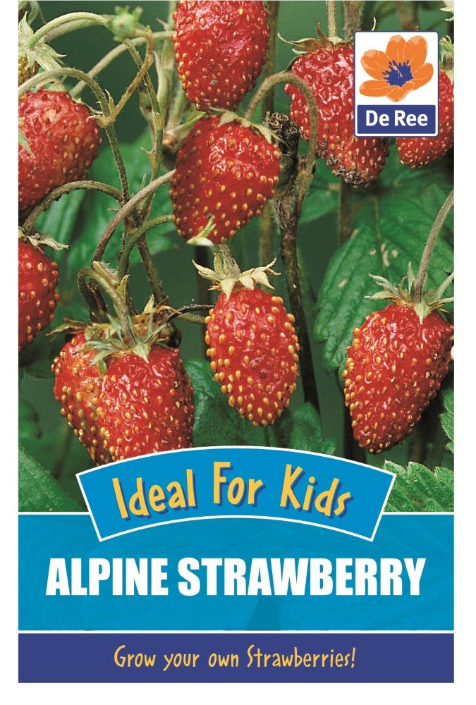 Alpine Strawberry Seeds
