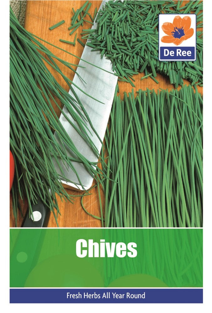 Chive Seeds