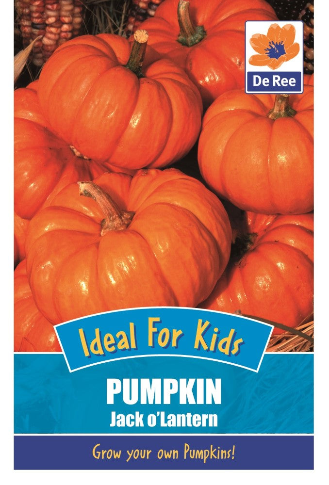 Pumpkin: Jack O'Lantern Seeds