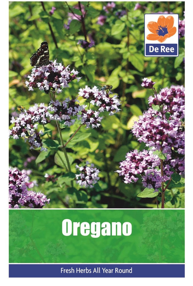 Oregano Seeds