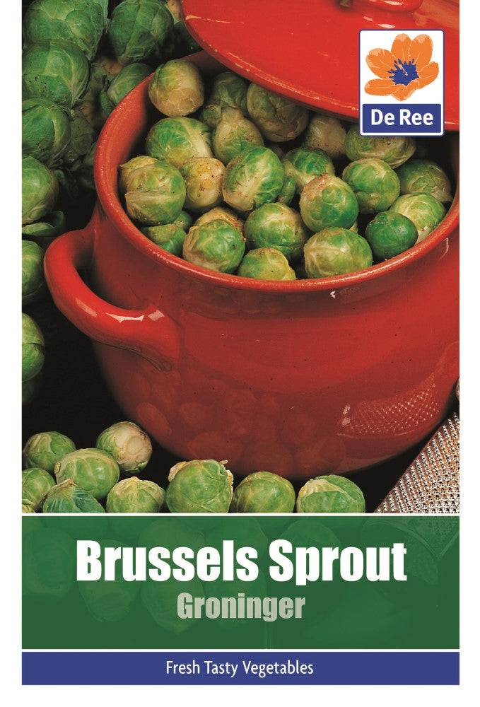 Brussels Sprout: Groninger Seeds