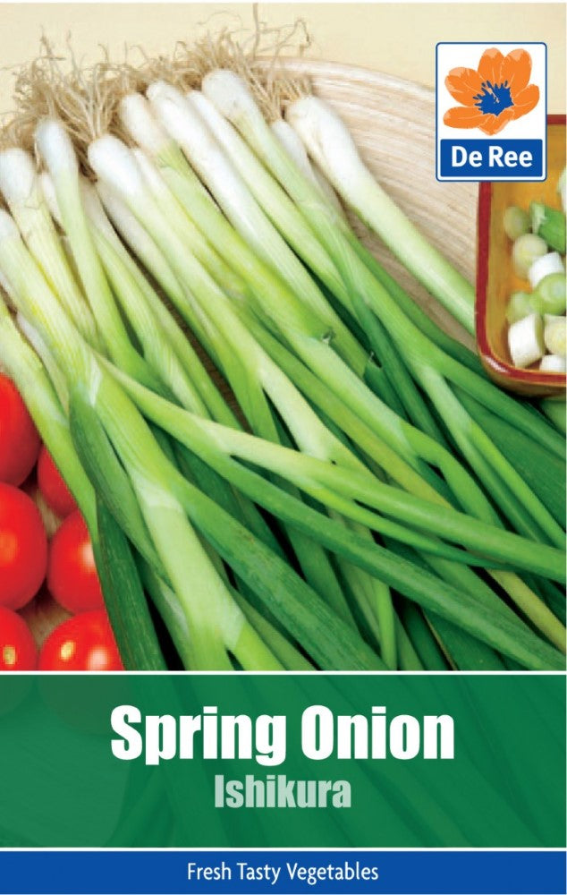 Spring Onion: Ishikura Seeds