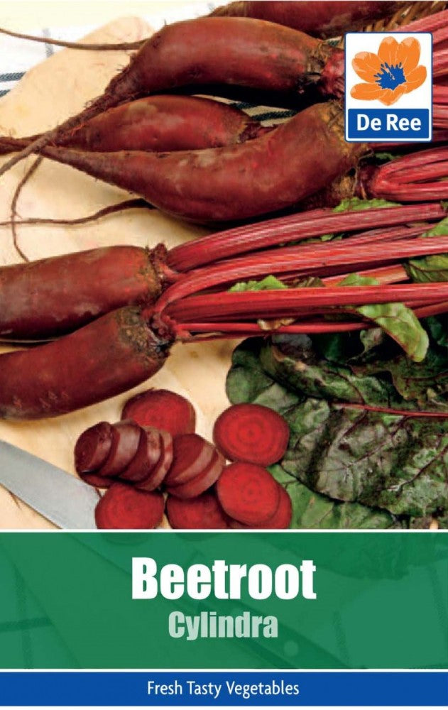 Beetroot: Cylindra Seeds