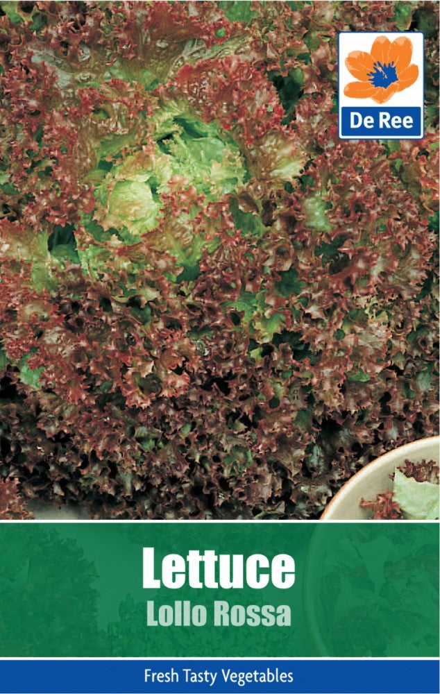 Lettuce: Lollo Rossa Seeds