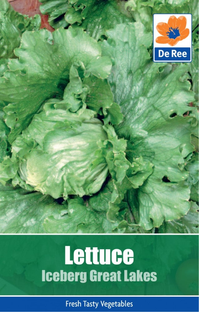 Lettuce: Iceburg Great Lakes Seeds