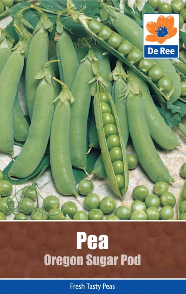 Pea: Oregon Sugar Pod Seeds