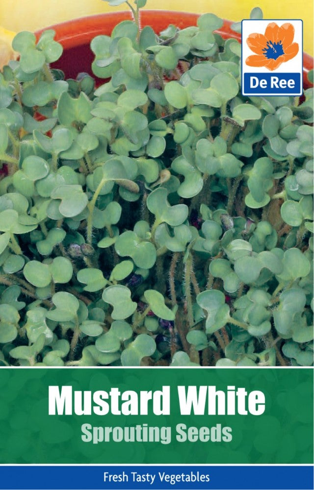 Mustard White Sprouting Seeds