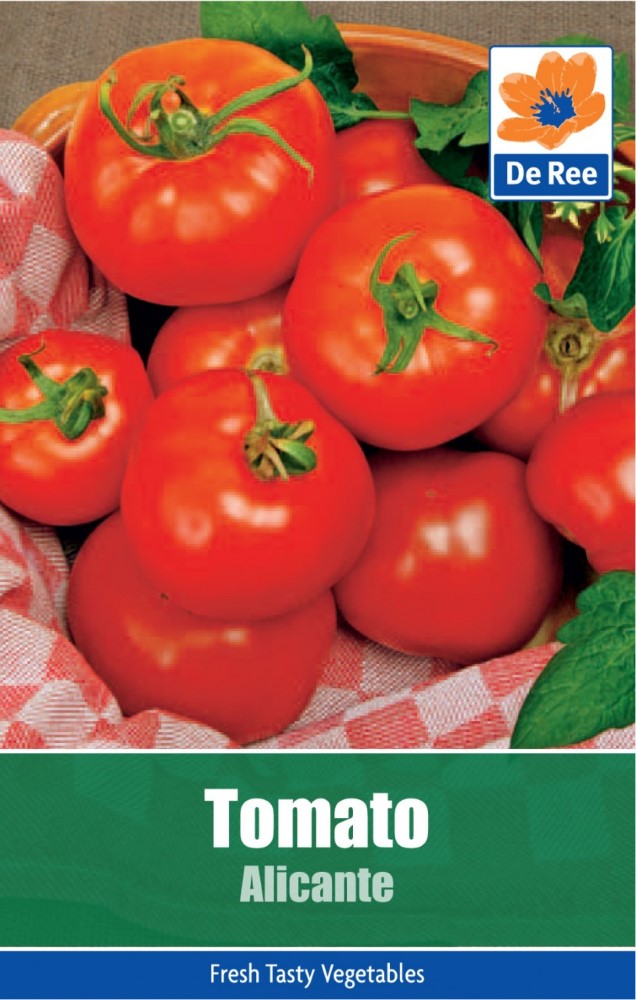 Tomato: Alicante Seeds