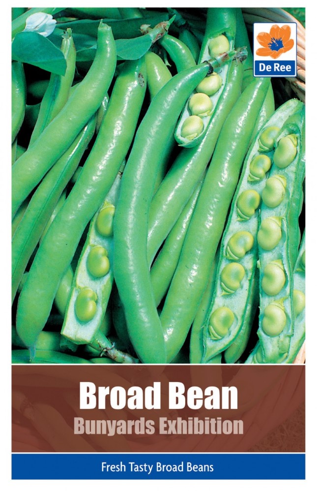 Broad Bean: Bunyards Exhibition Seeds