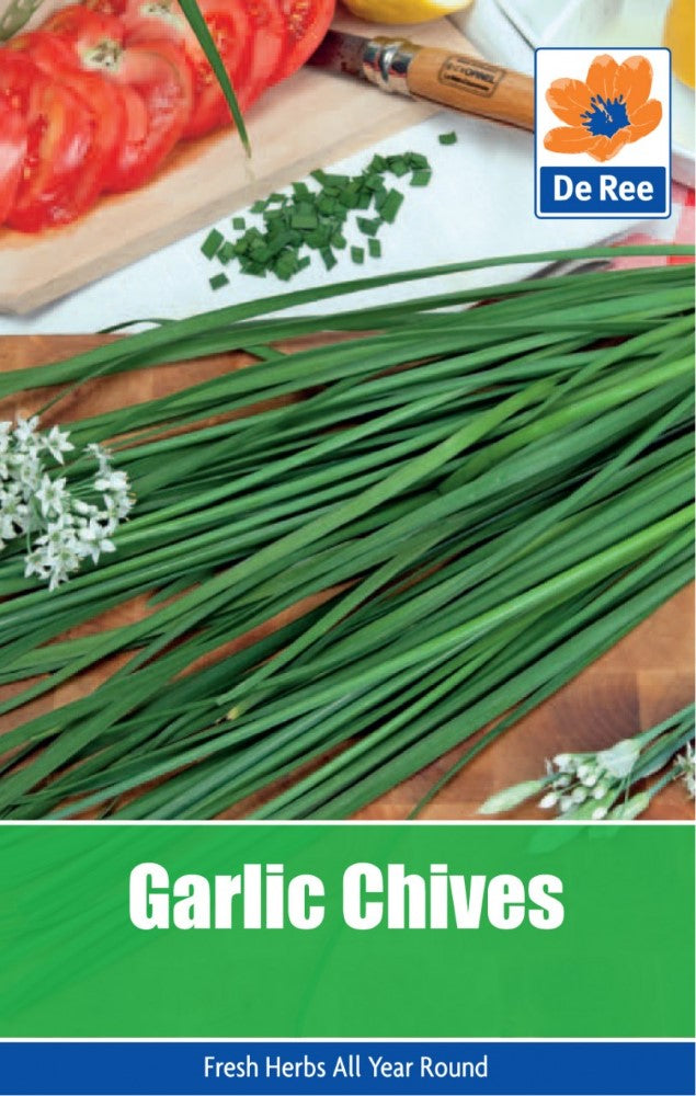 Garlic Chive Seeds